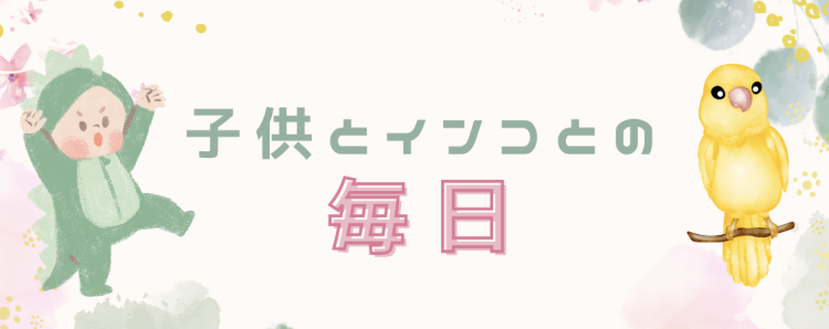 子供とインコとの毎日